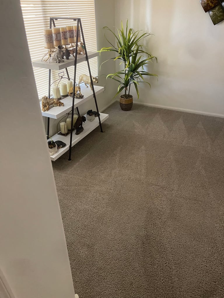 Minimalist room interior with metal shelving unit holding plants and containers, potted plant on floor, beige carpeting, and window with blinds